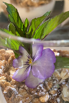 Flower glass