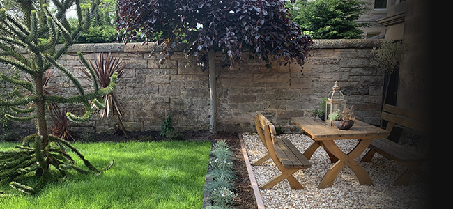 23 Mayfield Edinburgh Guesthouse Garden
