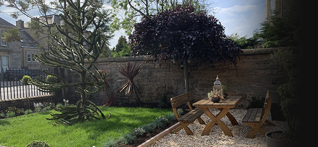 23 Mayfield Edinburgh Guesthouse Garden